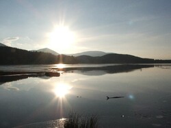 Loch Morlich