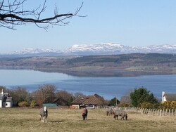 Looking across the Beauly Firt