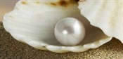 Grain of Sand