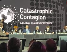 Catastrophic Contagion