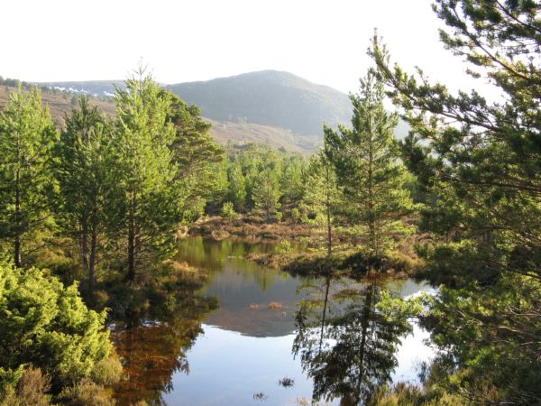 Loch an Eilein