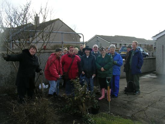 Planting Branches