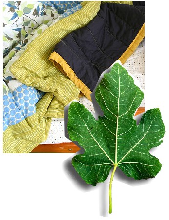 Comfort blanket and fig leaf