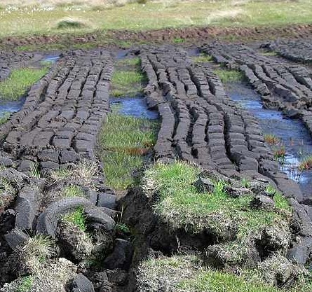 Peat