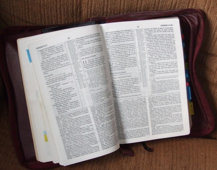 Study Bible