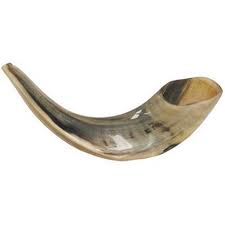 shofar1