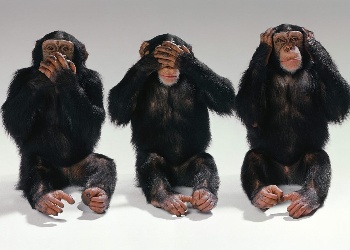 Three Monkeys