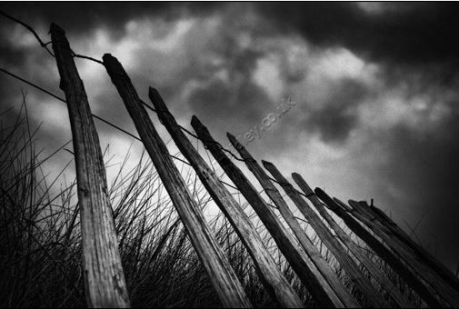 stakes