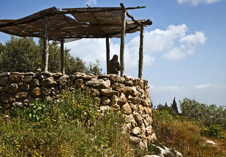 Watchtower
