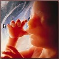 Petition against abortion on demand