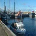 Buckie MiniFestival